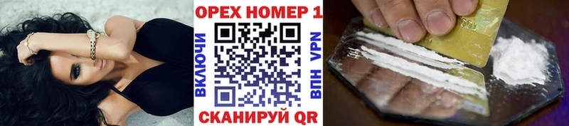 где продают   Куртамыш  Cocaine FishScale 