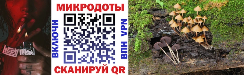 Галлюциногенные грибы ЛСД  Куртамыш 